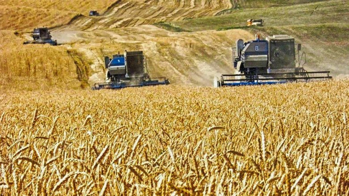 Более 3000 казахстанских фермеров подали заявки на субсидирование