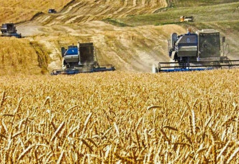 Более 3000 казахстанских фермеров подали заявки на субсидирование