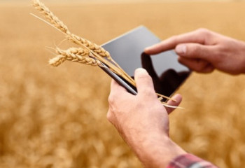 Қазақстандық фермерлер 17,1 млрд теңгеге субсидия алуға өтініш берді