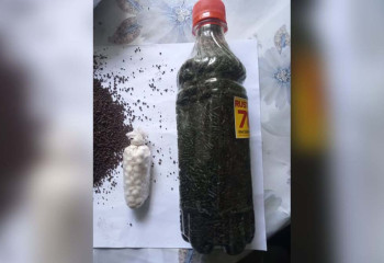 Алматы облысында колонияға тыйым салынған заттарды өткізу әрекетінің жолы кесілді