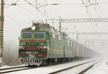 Поезд сбил более 30 лошадей в Акмолинской области