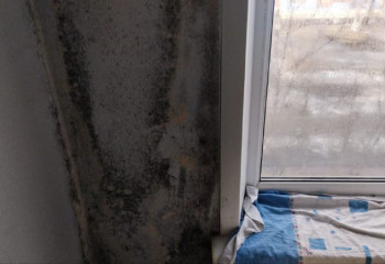 «Грибок на стенах, огромные счета за свет» — жители Экибастуза о жизни после ЧС