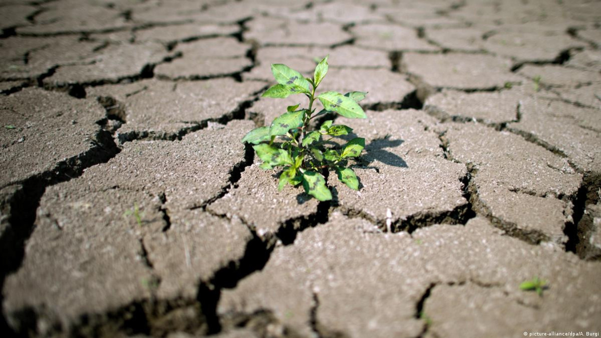 В Казахстане создадут систему реагирования на засухи