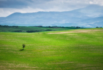 Дефицит пастбищных угодий в Казахстане составляет 8 млн гектар