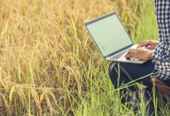 Оформление прав на землю в Казахстане предлагают перевести в онлайн