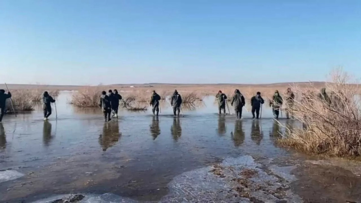  Видеодан кадр 