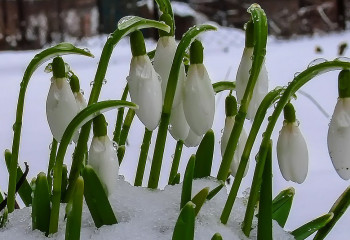 Наурыз айында ауа райы қандай болады?