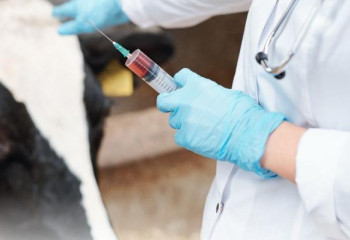 Жануарлар мен құстарға аурудың  23 түріне қарсы екпе егіледі