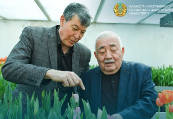 15 видов тюльпанов вырастили ученые в Туркестане