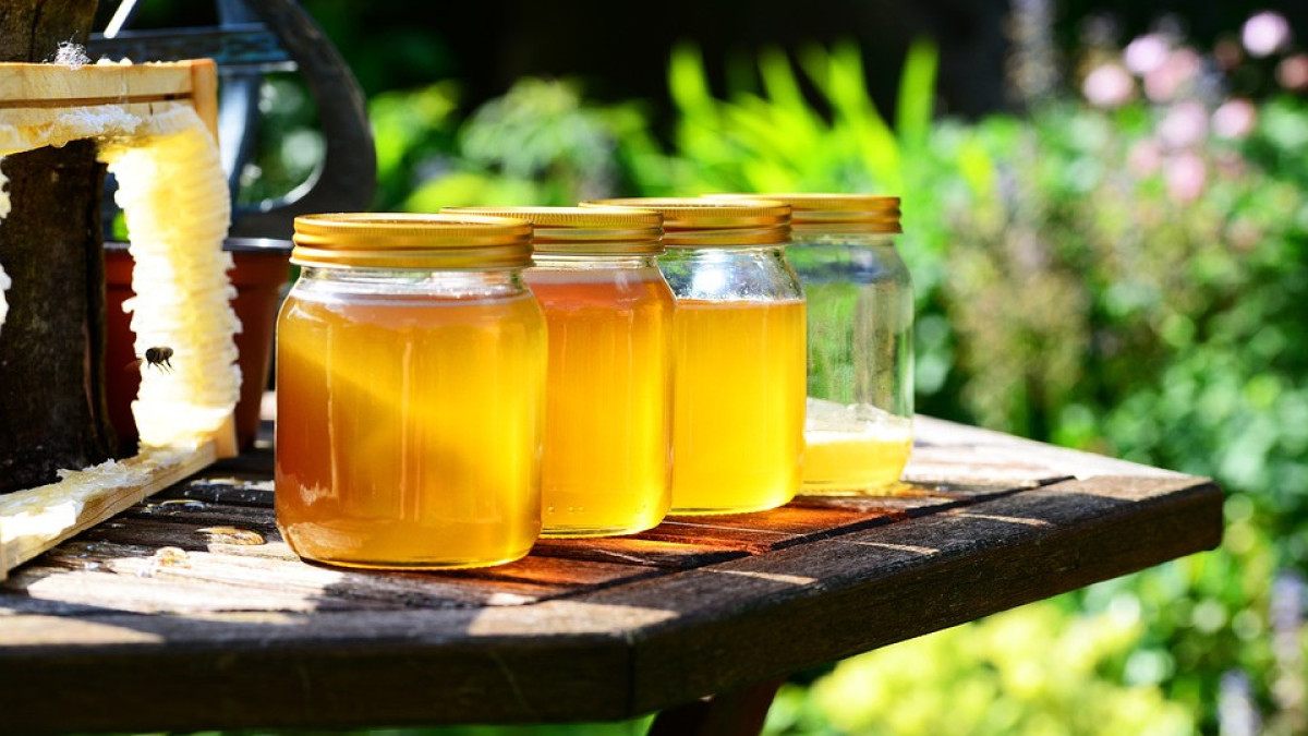 Открыть доступ на рынки ЕС казахстанскому мёду предложил глава Минсельхоза