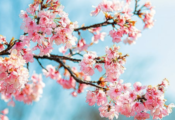 Оңтүстік аймақтарда 24 градусқа дейін күн жылынады