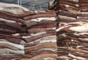 Вопрос по экспорту шерсти и шкур подняли предприниматели Шымкента