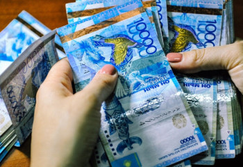 Қаржы пирамидасын құрған қазақстандық Украинадан ұсталды