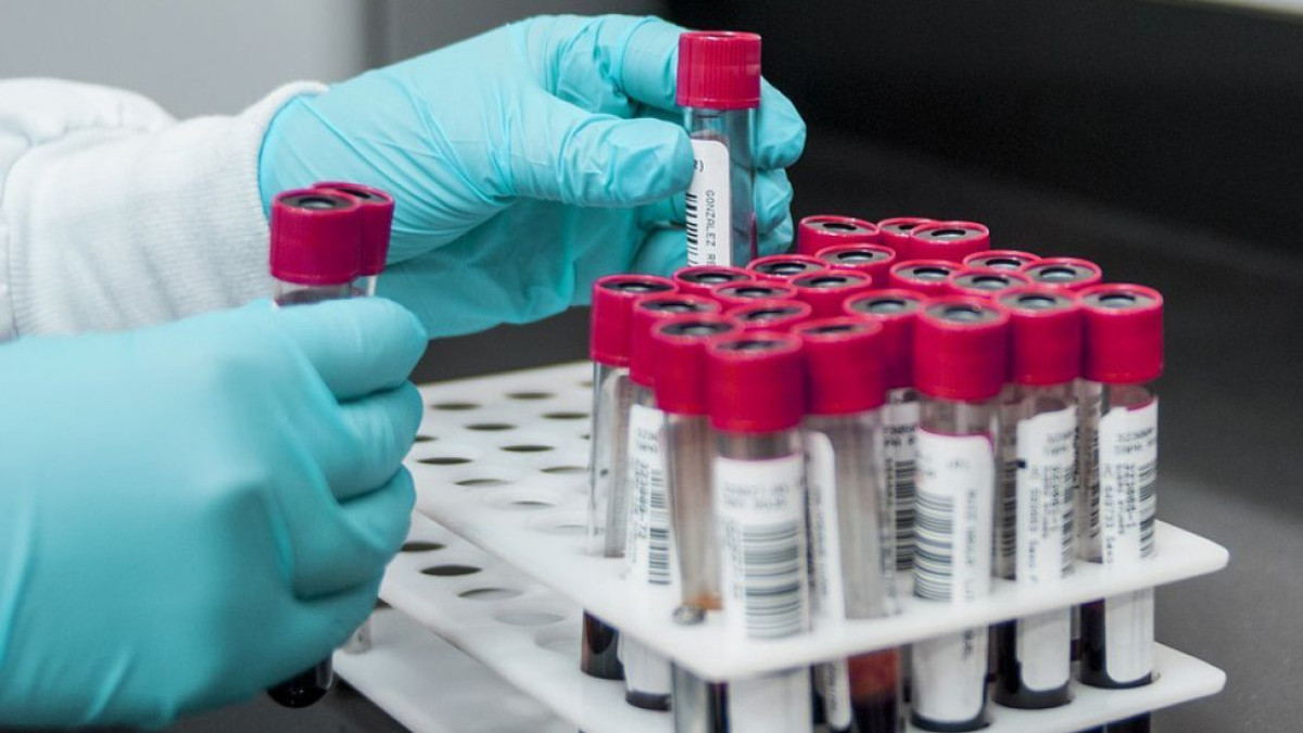  penza.bezformata.com 