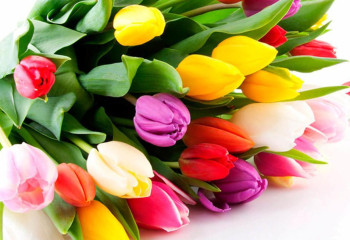 Елордада Халықаралық әйелдер күні қалай тойланады