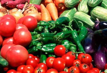 ШҚО-да көкөніс өсіруге жеңілдетілген несие беріледі