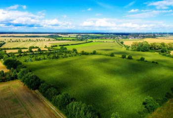 Нарушения прав землепользователей выявили сотрудники Антикора