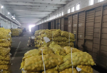 Казахстан подписал соглашение о поставках овощей из Таджикистана