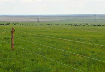 Антикор кәсіпкерлердің жер мәселесіне қатысты құқығын қорғады