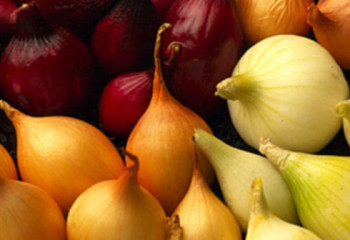 Қазақстан Тәжікстаннан көкөніс жеткізу туралы келісімге келді