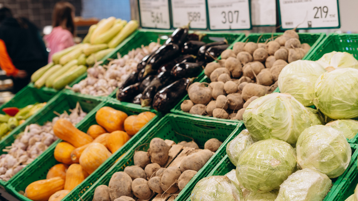 Kazakhstan signs agreement on supply of early vegetables from Tajikistan in off-season