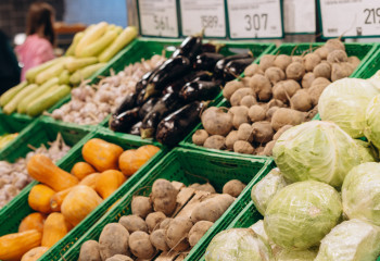 Kazakhstan signs agreement on supply of early vegetables from Tajikistan in off-season