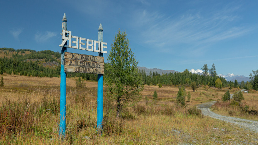  El.kz Артем Чурсинов. 