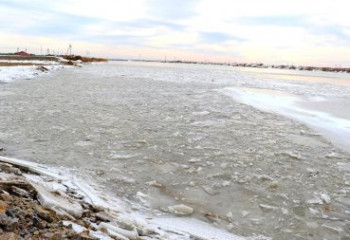 Қызылордада жол жабық: Сырдария өзені арнасынан асты