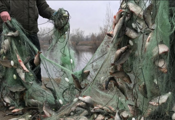 Причиненный браконьерами ущерб превысил 7 млрд тенге в Атырау