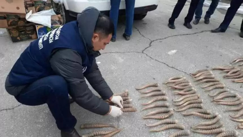  Атырау облысы ПД 