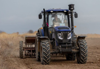 Общая посевная площадь в Казахстане увеличилась