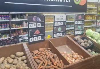 Проработать с акиматами вопросы поставок овощей из стабфондов намерен Серик Жумангарин