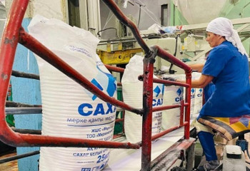 Сахарные заводы Казахстана профинансировали на 18,3 млрд тенге