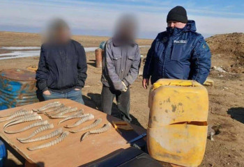 18 рогов сайги и винтовку изъяли у жителя Атырауской области