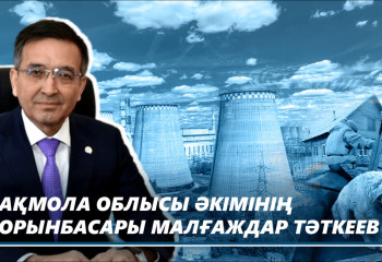 Ақмола облысының күрделі мәселелері туралы айтты