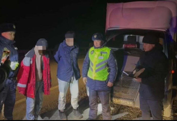 Маңғыстауда 44 қой ұрлаған қылмыстық топ ұсталды