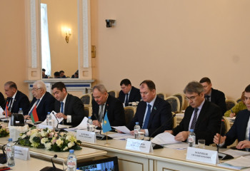 Сенаторлар ТМД Парламентаралық Ассамблеясы комиссиясының отырысына қатысты