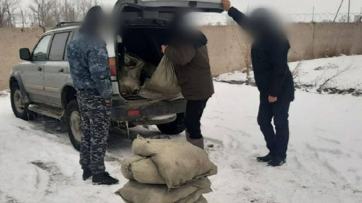 Павлодарца с пятью мешками карасей задержали полицейские