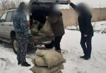 Павлодарца с пятью мешками карасей задержали полицейские