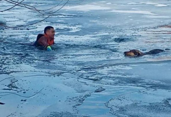 Собаку из ледяной воды Ишима вытащили спасатели