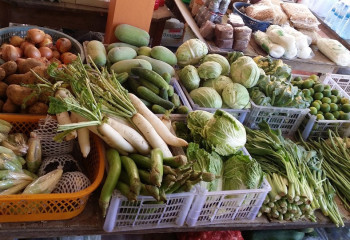 Баланс обеспеченности регионов овощами в межсезонье обсудили в Правительстве