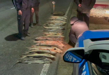 Маңғыстаулық тұрғыннан 120 келіден астам бекіре балығы тәркіленді