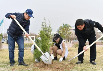 Наурыз - зеркало чистоты - в Туркестанской области готовятся к празднику