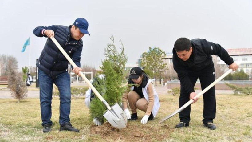  акимат Туркестанской области 