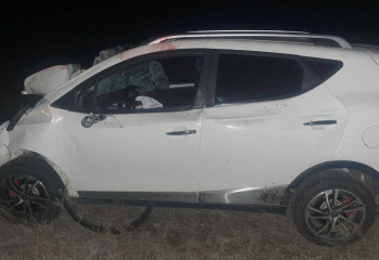 Мужчина на внедорожнике наехал на косяк лошадей в области Жетісу