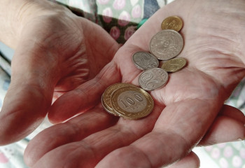 Ниже прожиточного минимума имеют доходы 5% казахстанцев