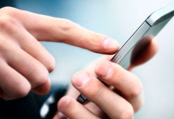 Владельцы животных смогут получать госуслуги через мобильное приложение Минсельхоза