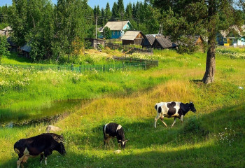 «Ауыл –  ел бесігі» жобасына биыл 143 миллиард теңге бөлінді