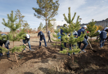 «Жасыл аула»: Алматыда тұрғындарға көшет тарату акциясы басталды