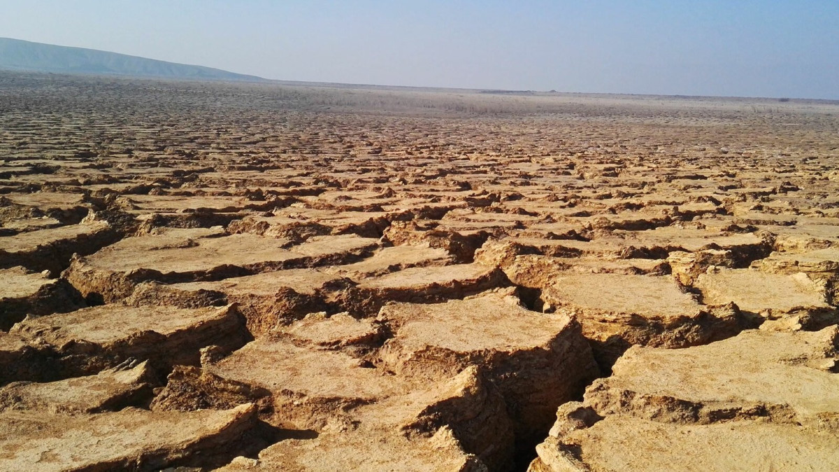 Засуха и снижение урожайности. Чем грозит Казахстану глобальное потепление?